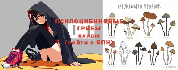 apvp Алзамай
