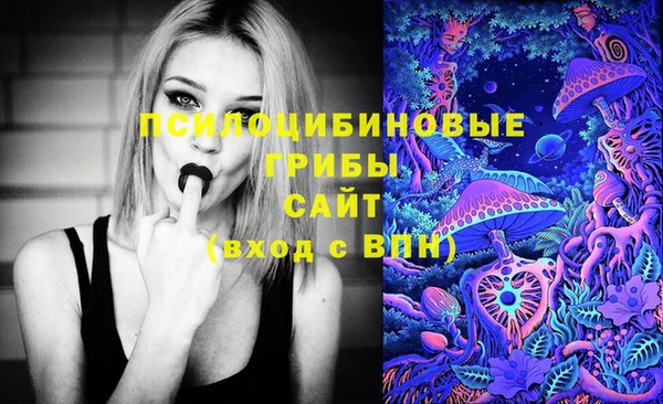apvp Алзамай