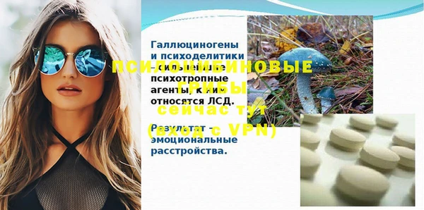 шишки Карталы